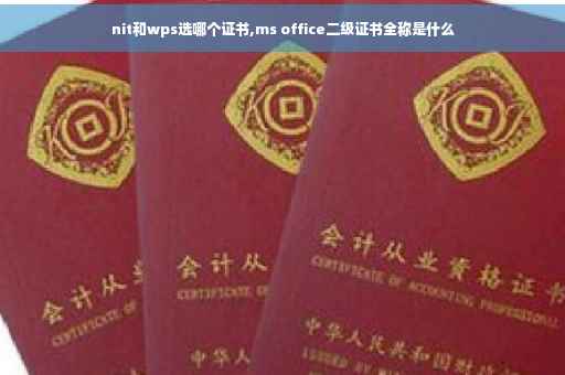 nit和wps选哪个证书,ms office二级证书全称是什么