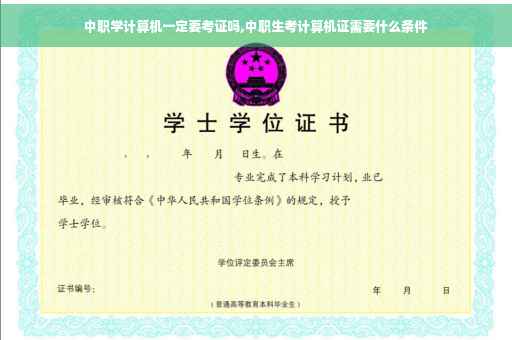中职学计算机一定要考证吗,中职生考计算机证需要什么条件