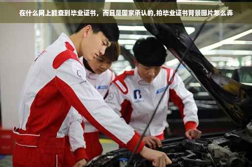在什么网上能查到毕业证书，而且是国家承认的,拍毕业证书背景图片怎么弄