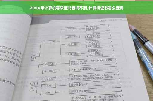 2006年计算机等级证书查询不到,计算机证书怎么查询