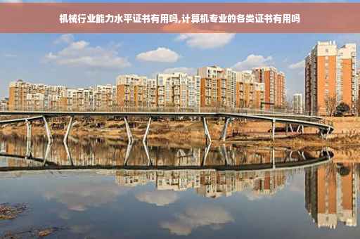 机械行业能力水平证书有用吗,计算机专业的各类证书有用吗