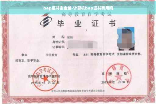 bap证书含金量-计算机bap证书有用吗