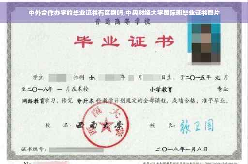 中外合作办学的毕业证书有区别吗,中央财经大学国际班毕业证书图片