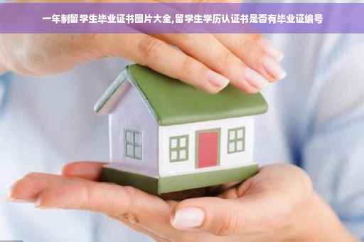 一年制留学生毕业证书图片大全,留学生学历认证书是否有毕业证编号