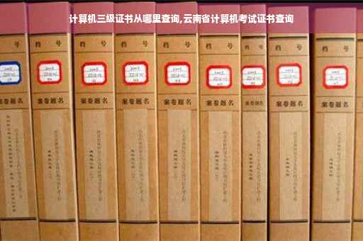 计算机三级证书从哪里查询,云南省计算机考试证书查询