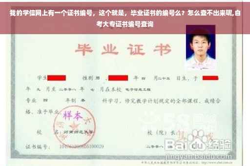 我的学信网上有一个证书编号，这个就是，毕业证书的编号么？怎么查不出来呢,自考大专证书编号查询