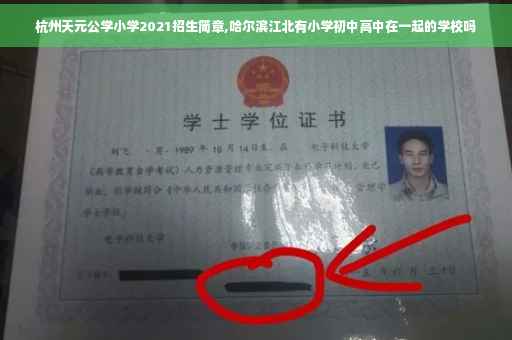 杭州天元公学小学2021招生简章,哈尔滨江北有小学初中高中在一起的学校吗