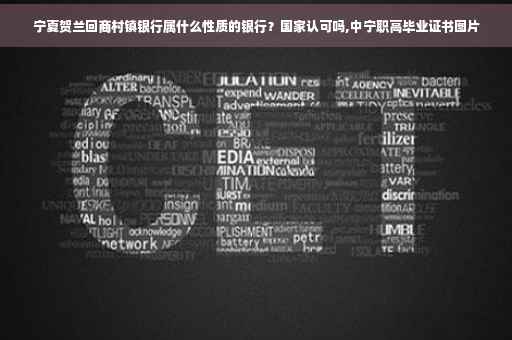 宁夏贺兰回商村镇银行属什么性质的银行？国家认可吗,中宁职高毕业证书图片