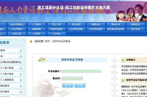 高工证是什么证-高工毕业证书图片大全大图