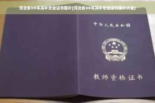 河北省08年高中毕业证书图片(河北省08年高中毕业证书图片大全)