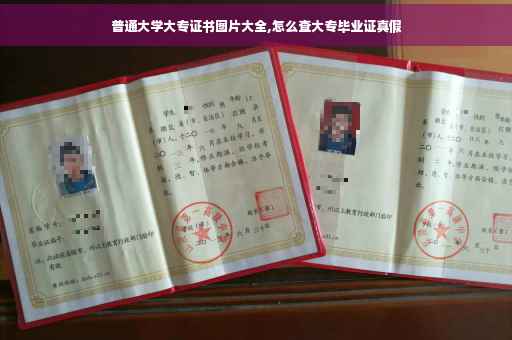 普通大学大专证书图片大全,怎么查大专毕业证真假