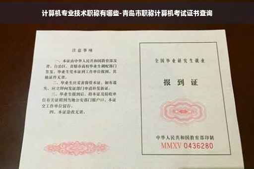 计算机专业技术职称有哪些-青岛市职称计算机考试证书查询