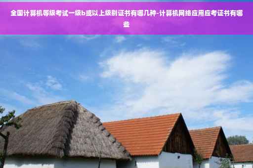 全国计算机等级考试一级b或以上级别证书有哪几种-计算机网络应用应考证书有哪些