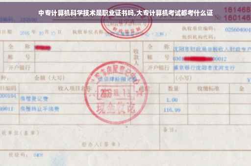 中专计算机科学技术是职业证书吗,大专计算机考试都考什么证