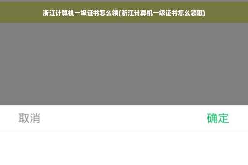 浙江计算机一级证书怎么领(浙江计算机一级证书怎么领取)