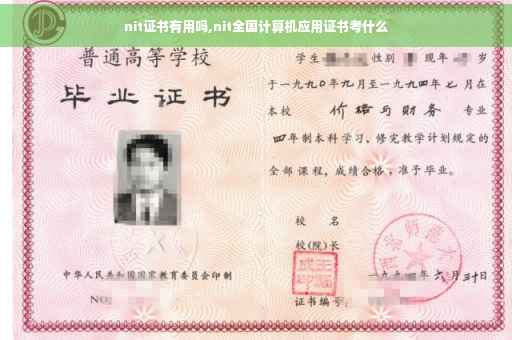 nit证书有用吗,nit全国计算机应用证书考什么