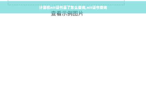 计算机nit证书丢了怎么查询,nit证书查询