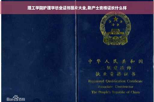 理工学院护理学毕业证书图片大全,助产士资格证长什么样