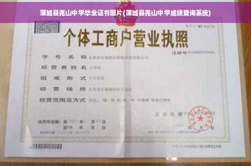 蒲城县尧山中学毕业证书图片(蒲城县尧山中学成绩查询系统)