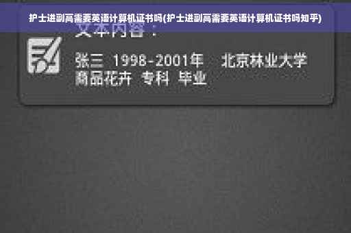 护士进副高需要英语计算机证书吗(护士进副高需要英语计算机证书吗知乎)