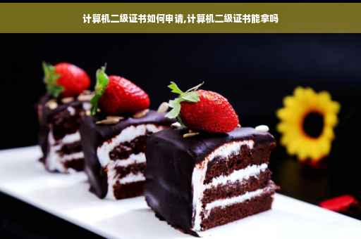 计算机二级证书如何申请,计算机二级证书能拿吗