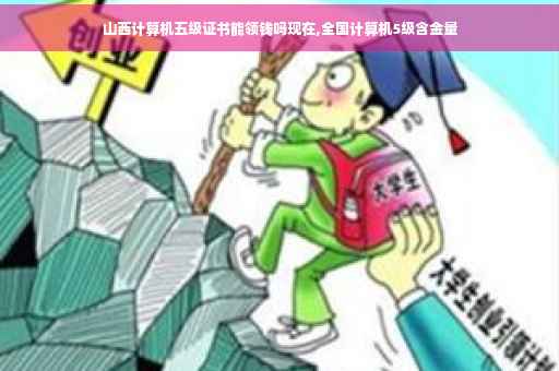 山西计算机五级证书能领钱吗现在,全国计算机5级含金量