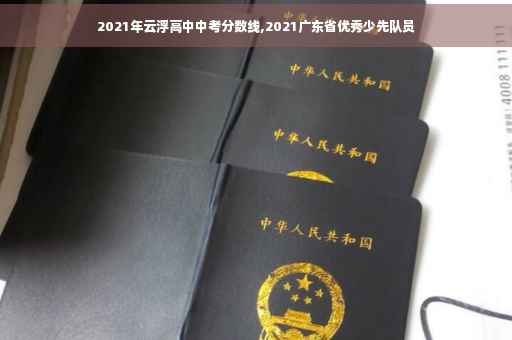 2021年云浮高中中考分数线,2021广东省优秀少先队员