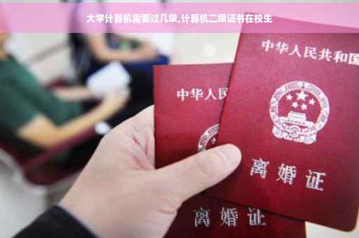 大学计算机需要过几级,计算机二级证书在校生