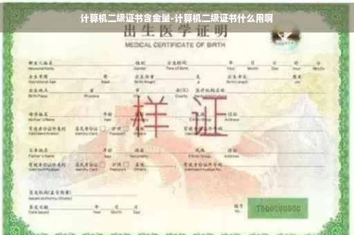 计算机二级证书含金量-计算机二级证书什么用啊
