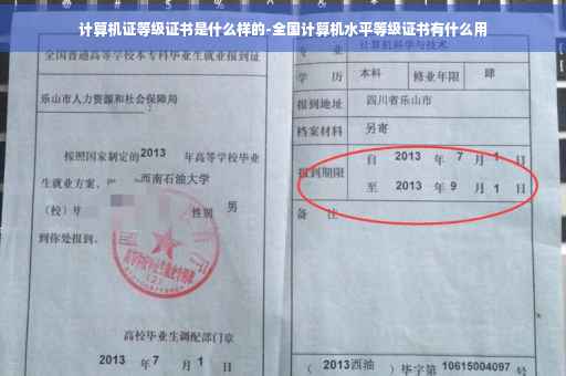 计算机证等级证书是什么样的-全国计算机水平等级证书有什么用