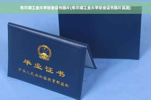 布尔诺工业大学毕业证书图片(布尔诺工业大学毕业证书图片高清)