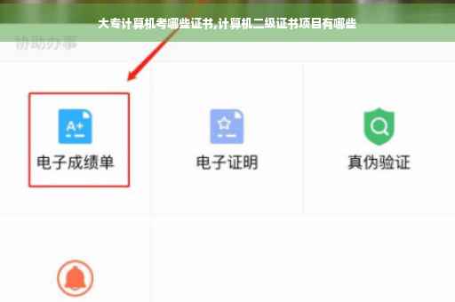 大专计算机考哪些证书,计算机二级证书项目有哪些