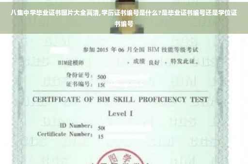 八集中学毕业证书图片大全高清,学历证书编号是什么?是毕业证书编号还是学位证书编号