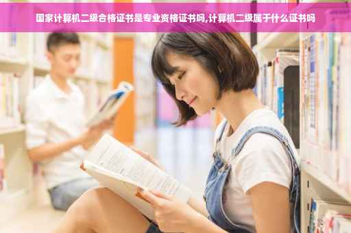 国家计算机二级合格证书是专业资格证书吗,计算机二级属于什么证书吗