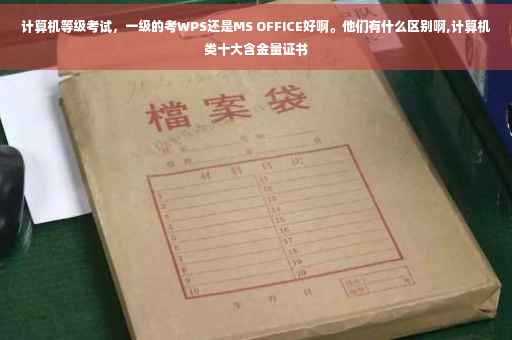 计算机等级考试，一级的考WPS还是MS OFFICE好啊。他们有什么区别啊,计算机类十大含金量证书