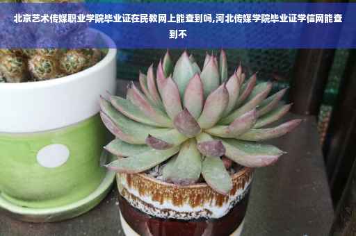 北京艺术传媒职业学院毕业证在民教网上能查到吗,河北传媒学院毕业证学信网能查到不