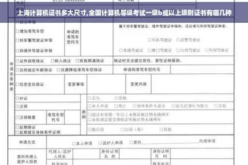 上海计算机证书多大尺寸,全国计算机等级考试一级b或以上级别证书有哪几种