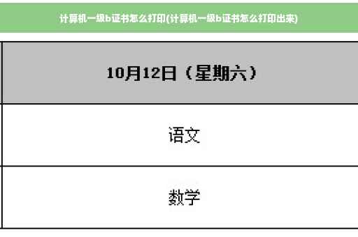 计算机一级b证书怎么打印(计算机一级b证书怎么打印出来)