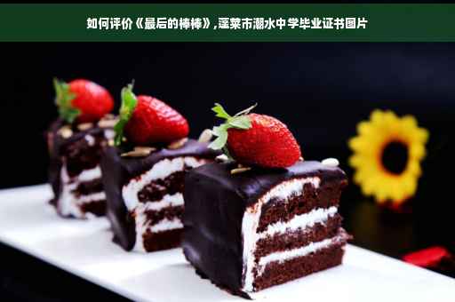 如何评价《最后的棒棒》,蓬莱市潮水中学毕业证书图片