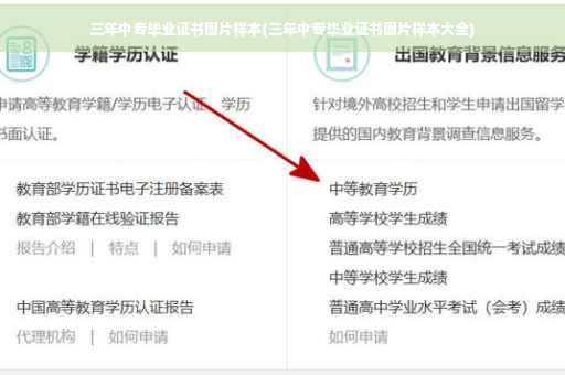 三年中专毕业证书图片样本(三年中专毕业证书图片样本大全)
