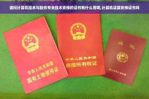请问计算机技术与软件专业技术资格的证书有什么用呢,计算机证算资格证书吗