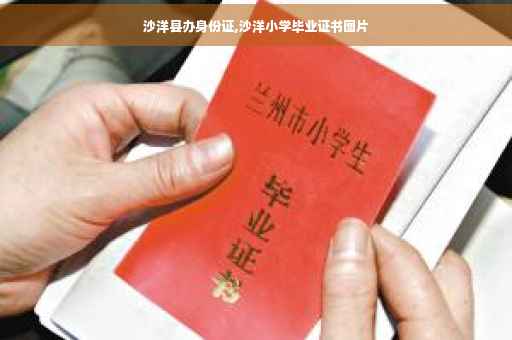 沙洋县办身份证,沙洋小学毕业证书图片