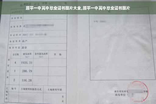 原平一中高中毕业证书图片大全,原平一中高中毕业证书图片