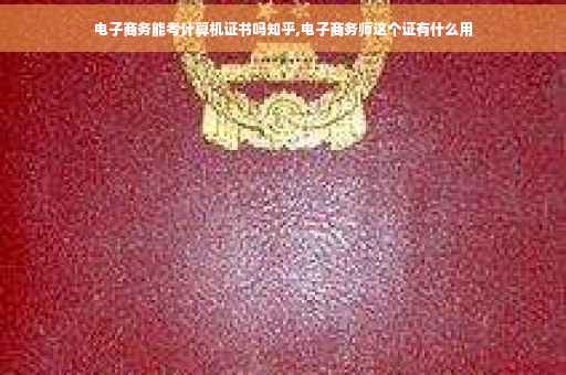 电子商务能考计算机证书吗知乎,电子商务师这个证有什么用