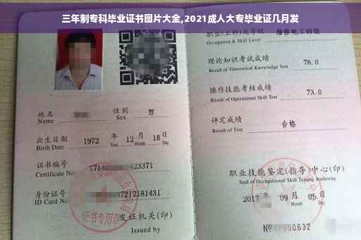 三年制专科毕业证书图片大全,2021成人大专毕业证几月发