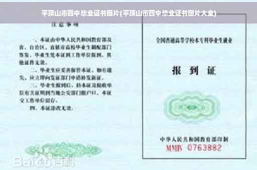 平顶山市四中毕业证书图片(平顶山市四中毕业证书图片大全)