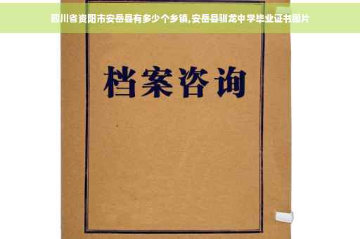 四川省资阳市安岳县有多少个乡镇,安岳县驯龙中学毕业证书图片