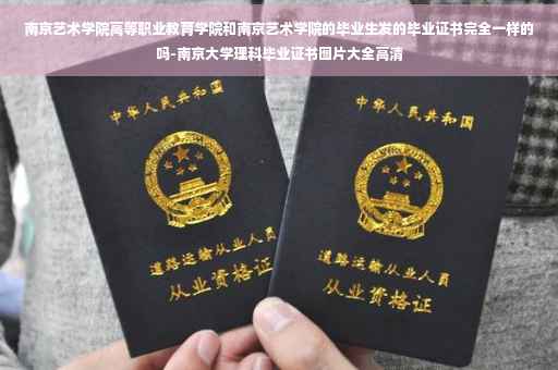 南京艺术学院高等职业教育学院和南京艺术学院的毕业生发的毕业证书完全一样的吗-南京大学理科毕业证书图片大全高清