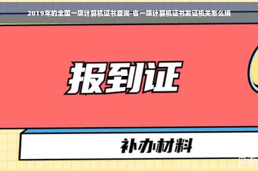 2019年的全国一级计算机证书查询-省一级计算机证书发证机关怎么填