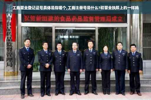 工商营业登记证号具体是指哪个,工商注册号是什么?和营业执照上的一样吗 工商营业登记证号具体是指哪个,工商注册号是什么?和营业执照上的一样吗